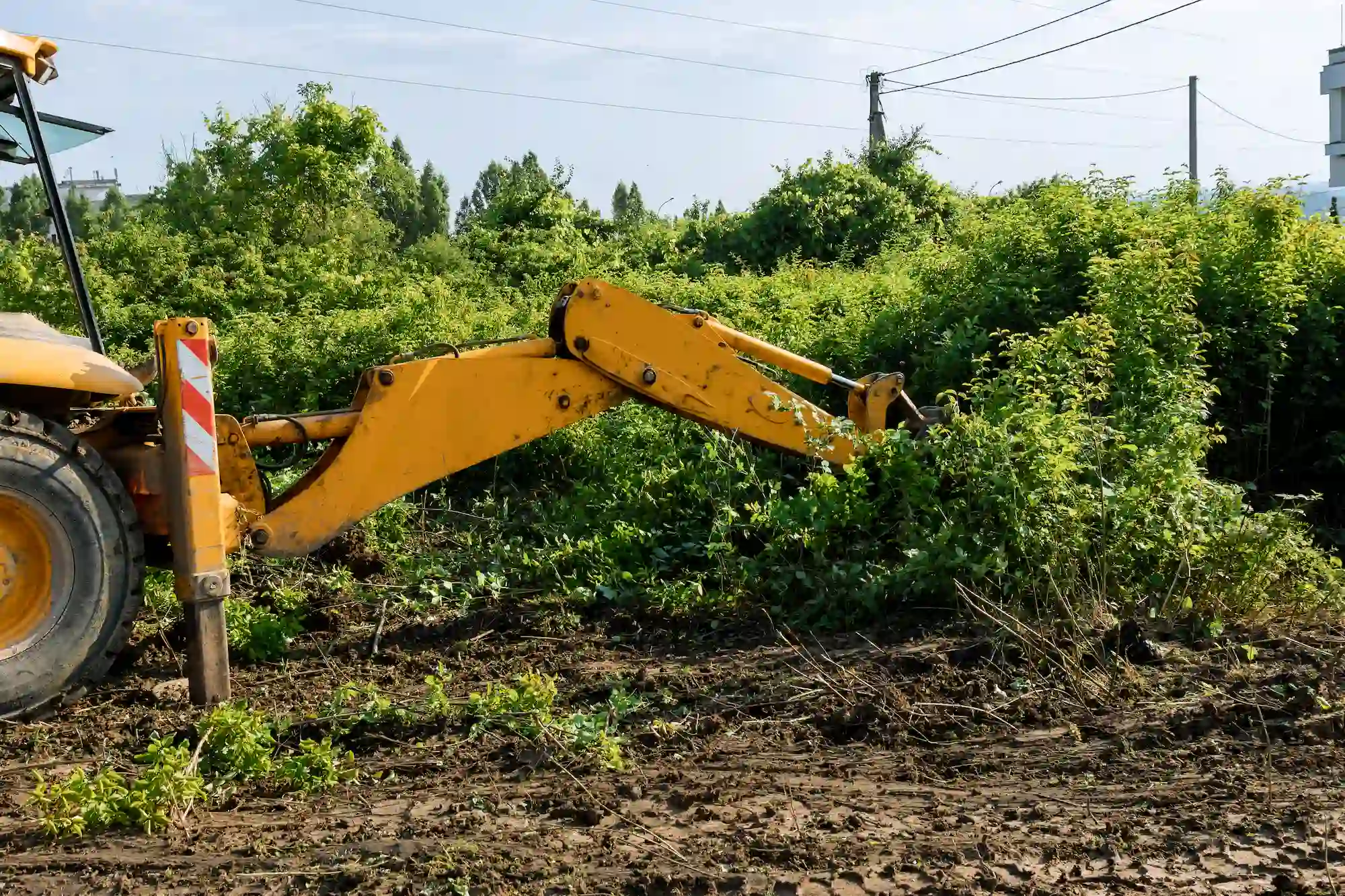 Munkagép bozótirtást végez a területen